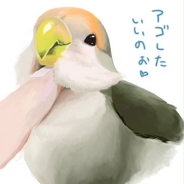 【鳥】とろ～んのツボ