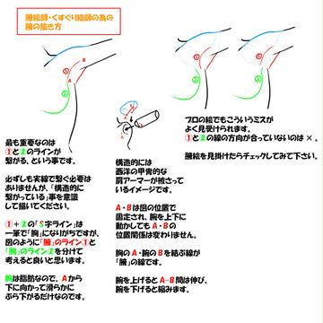 腋の描き方