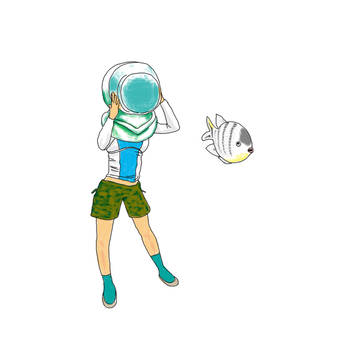 海