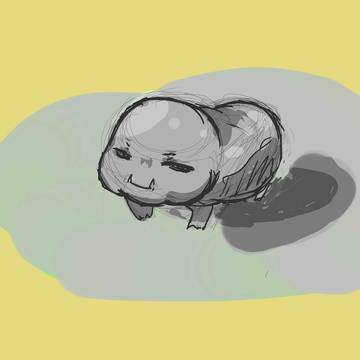 センコロールみてきました