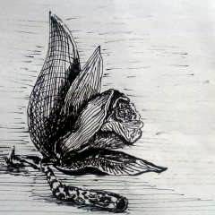 らくがき