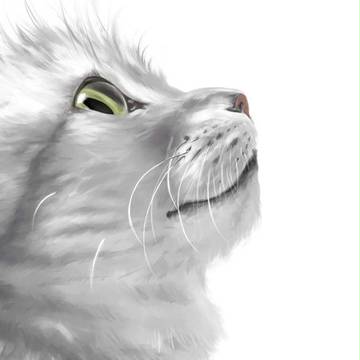 【愛猫】