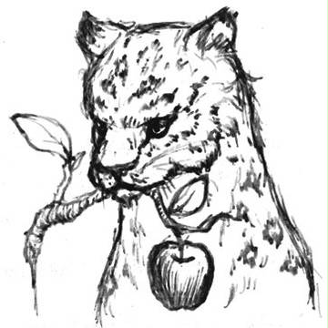 SnowLeopardラフラフ