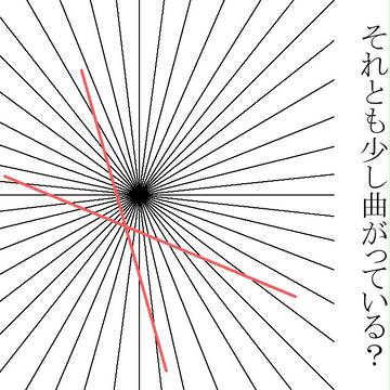 視覚論①「直線？曲線？」