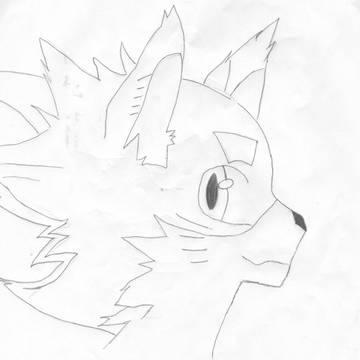 Copy by myself