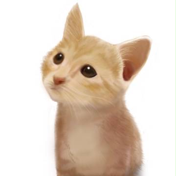 子猫