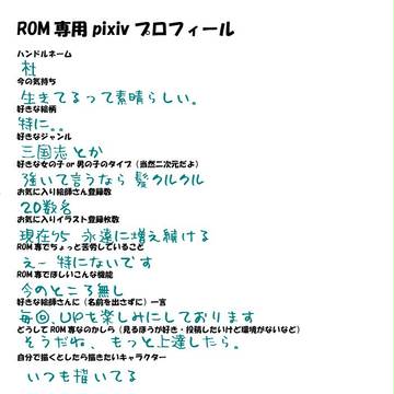 ／ROM＼