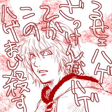 トルフィン17さい