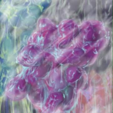 なっとうのモリ