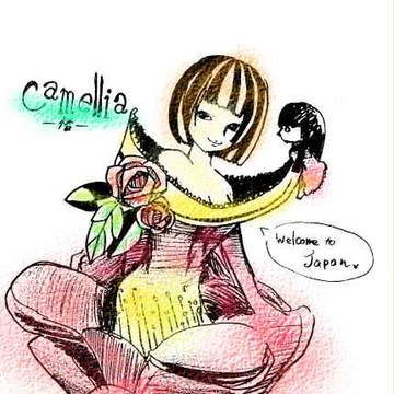 し○せいどー