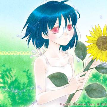 ひまわりの君