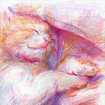 ねむるねこ