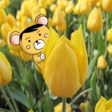昭ちゃん。