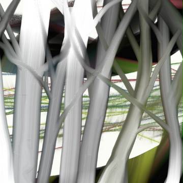 き
