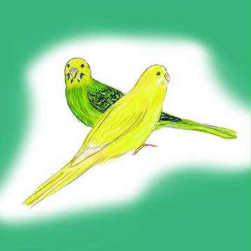 うちのおじいちゃんインコ