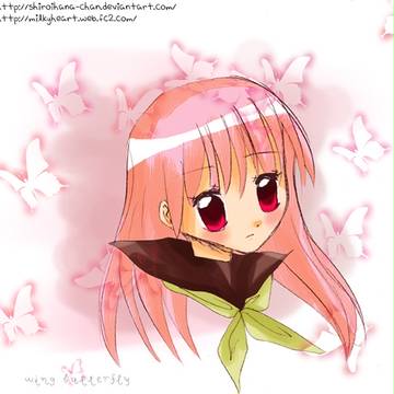 wing butterfly