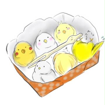 どれからでもどうぞ
