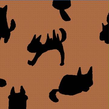 黒猫