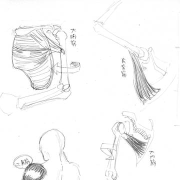 骨格03