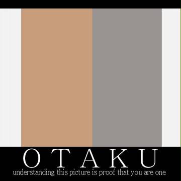 この画像にピンときたらオタクらしい