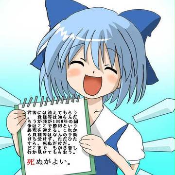 チルノ「ご苦労だった・・・と言いたい所だが」