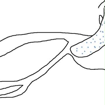 私の描くたかはし君