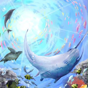 海