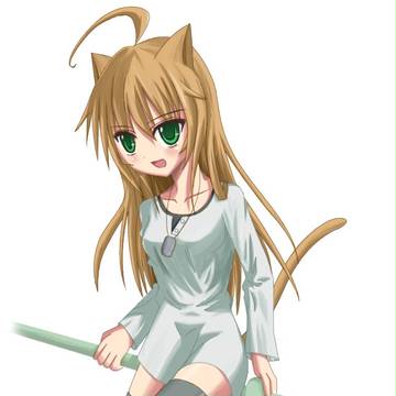猫耳