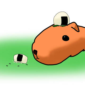 落としちゃった……