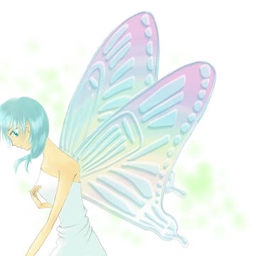 蝶'09