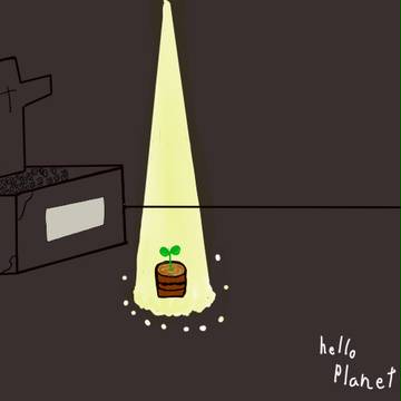 オハヨーハヨー