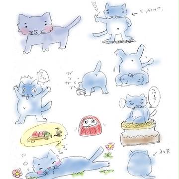 猫のおじさん