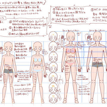 くらべちゃえばいいのよ＿体の比率と男女の体格の違い