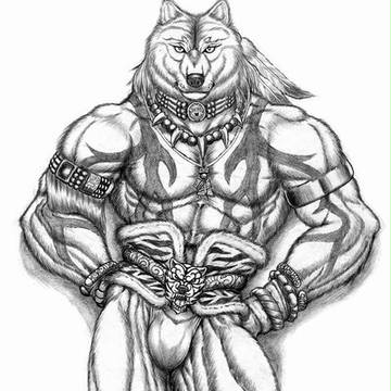 WolfLSI 5