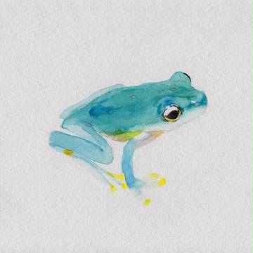 カエル２