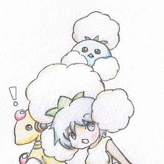 わたこー