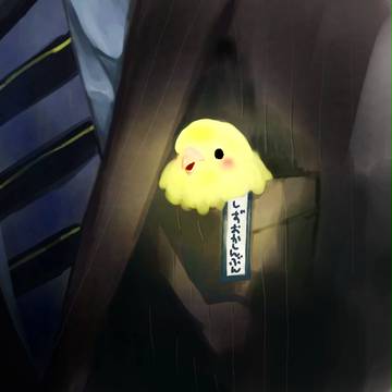 ポケットインコ