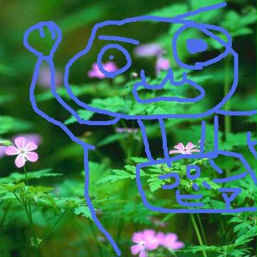 野に咲くコロンビア