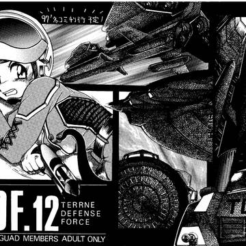 ｢TDF-１２」　１９９６年ペーパー