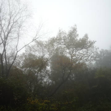 霞み山