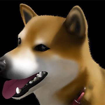 ピコ