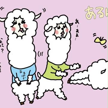 あるぱか
