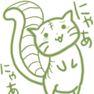 初投稿