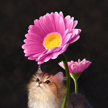 neko