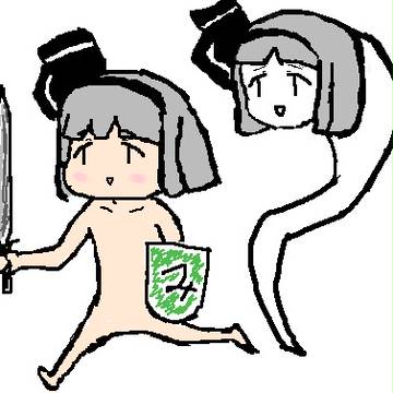 みょんな剣とみょんな盾とみょんな半霊