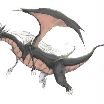 光と闇の竜