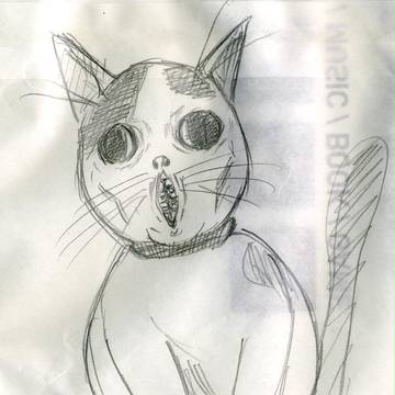 うちのネコ