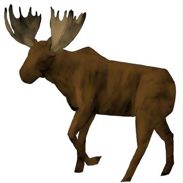 動物が描きたくて