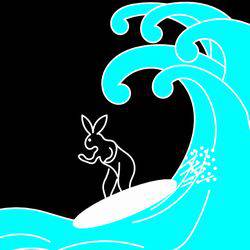 surfingrabbit