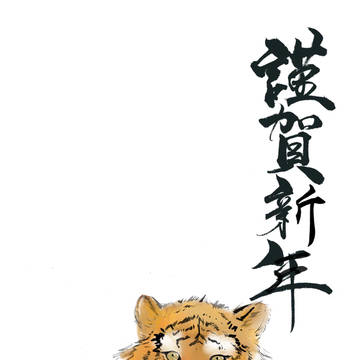 年賀状できたよ。